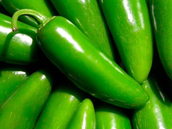 Sweet Jalapeño
