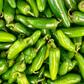 Sweet Jalapeño